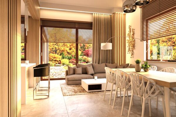 salon z jadalną